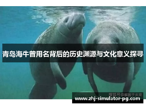 青岛海牛曾用名背后的历史渊源与文化意义探寻