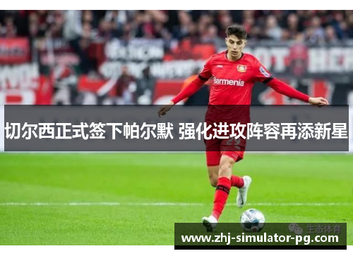 切尔西正式签下帕尔默 强化进攻阵容再添新星 切尔西正式签下帕尔默 强化进攻阵容再添新星